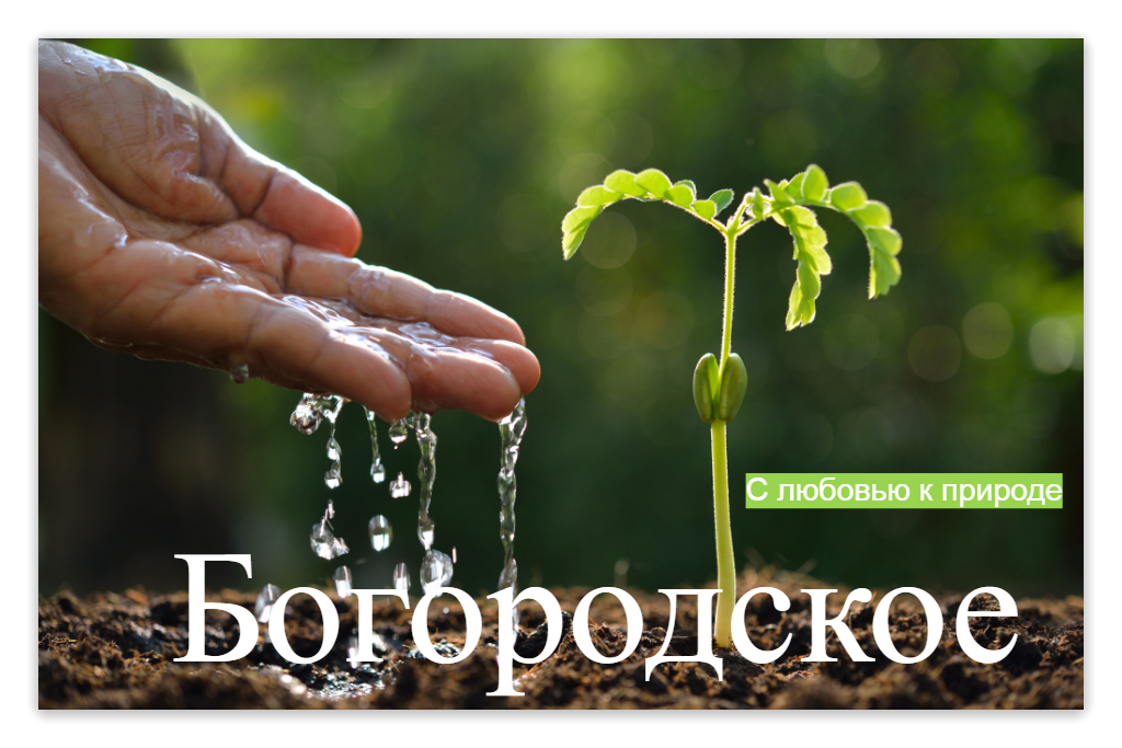 Превью изображения