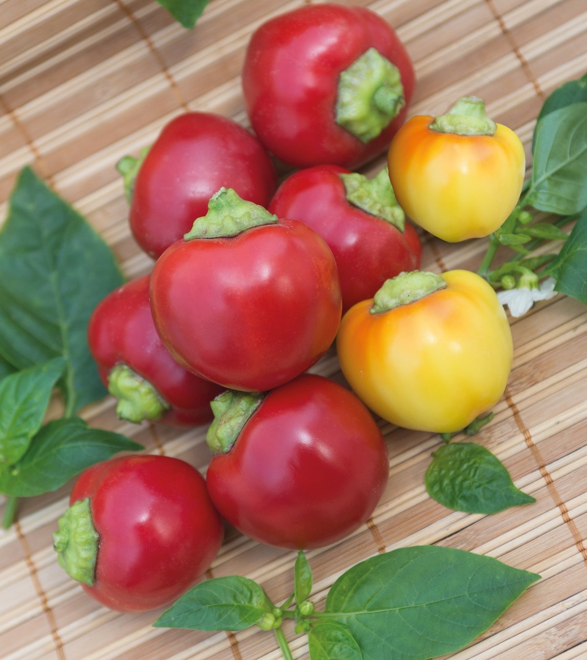 Превью изображения