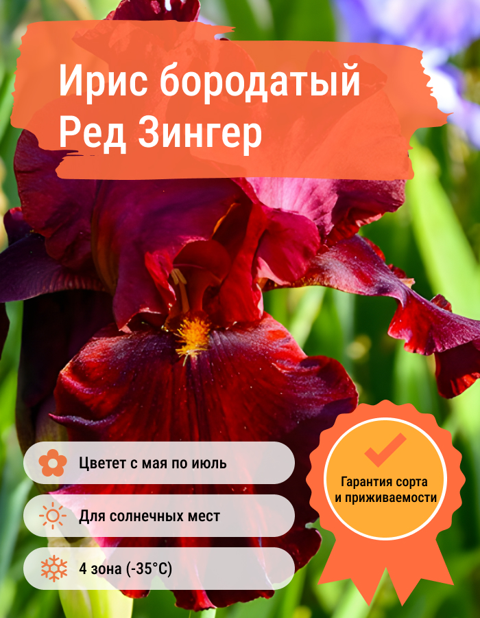 Превью изображения