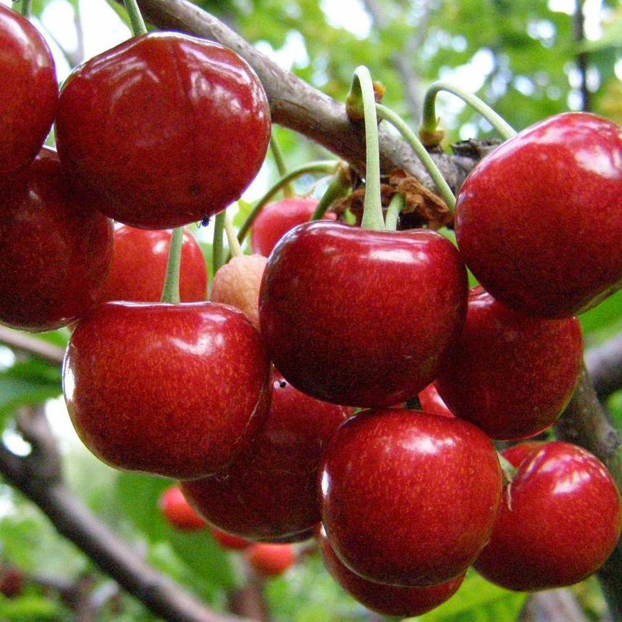 Превью изображения