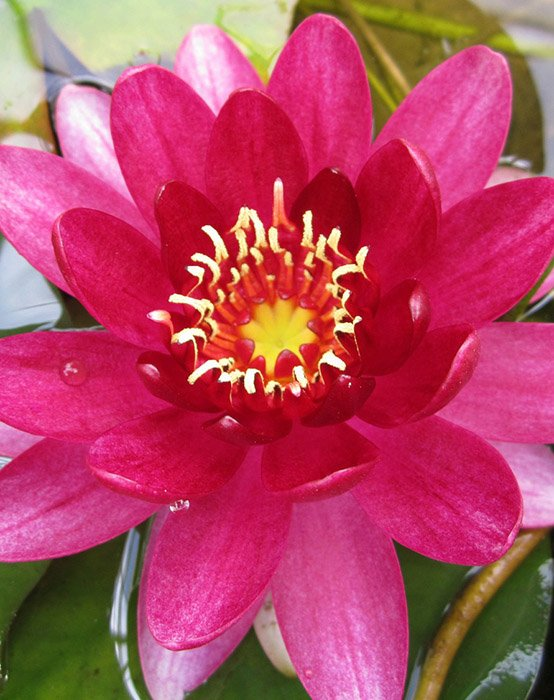 Превью изображения