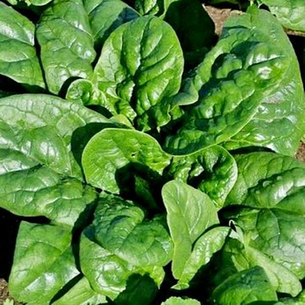 Превью изображения