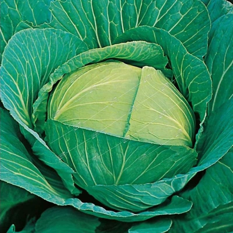 Превью изображения