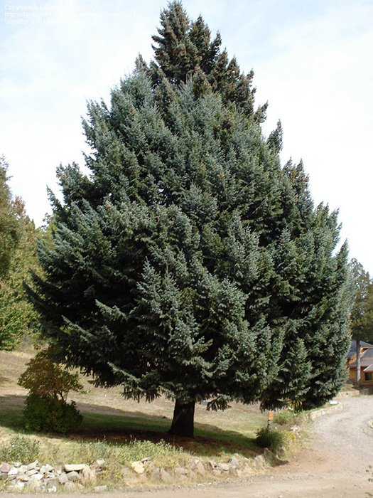 Превью изображения