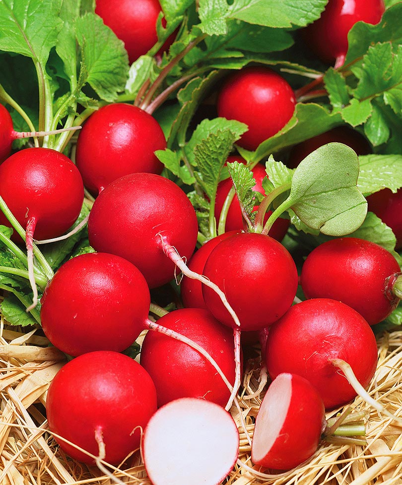 Превью изображения