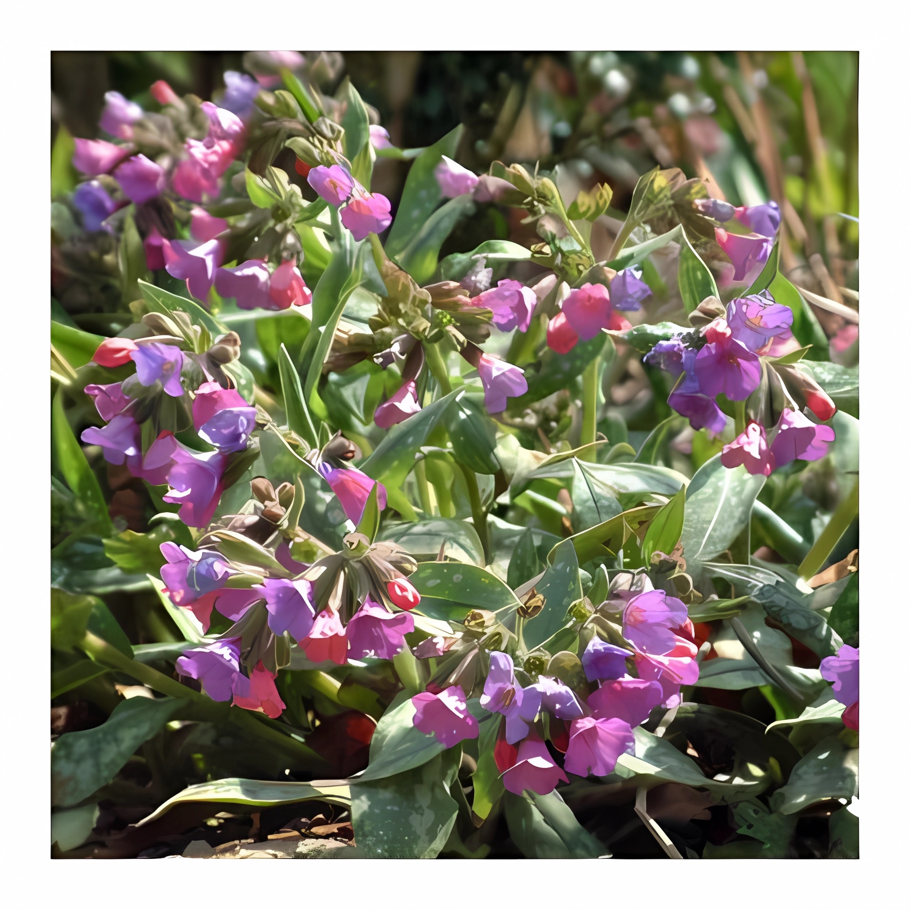 Превью изображения