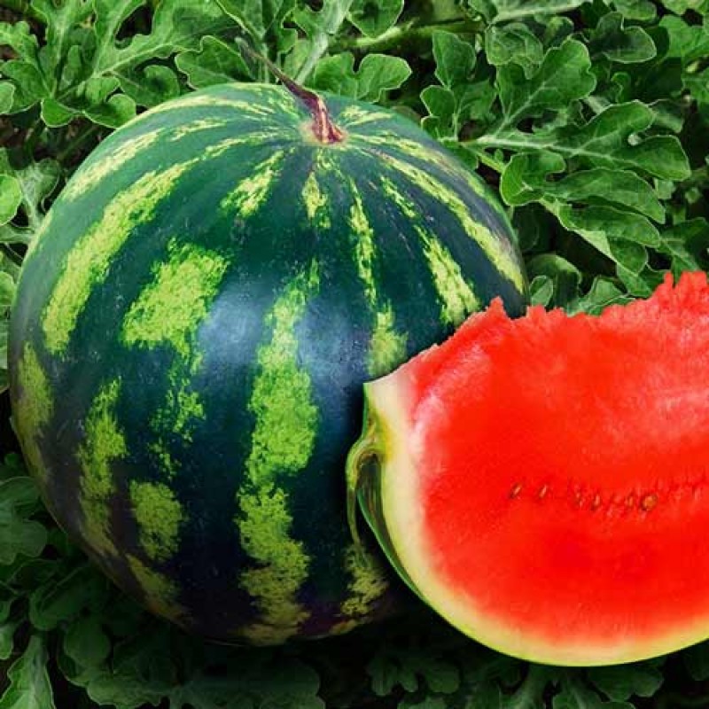 Превью изображения