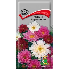 Превью изображения