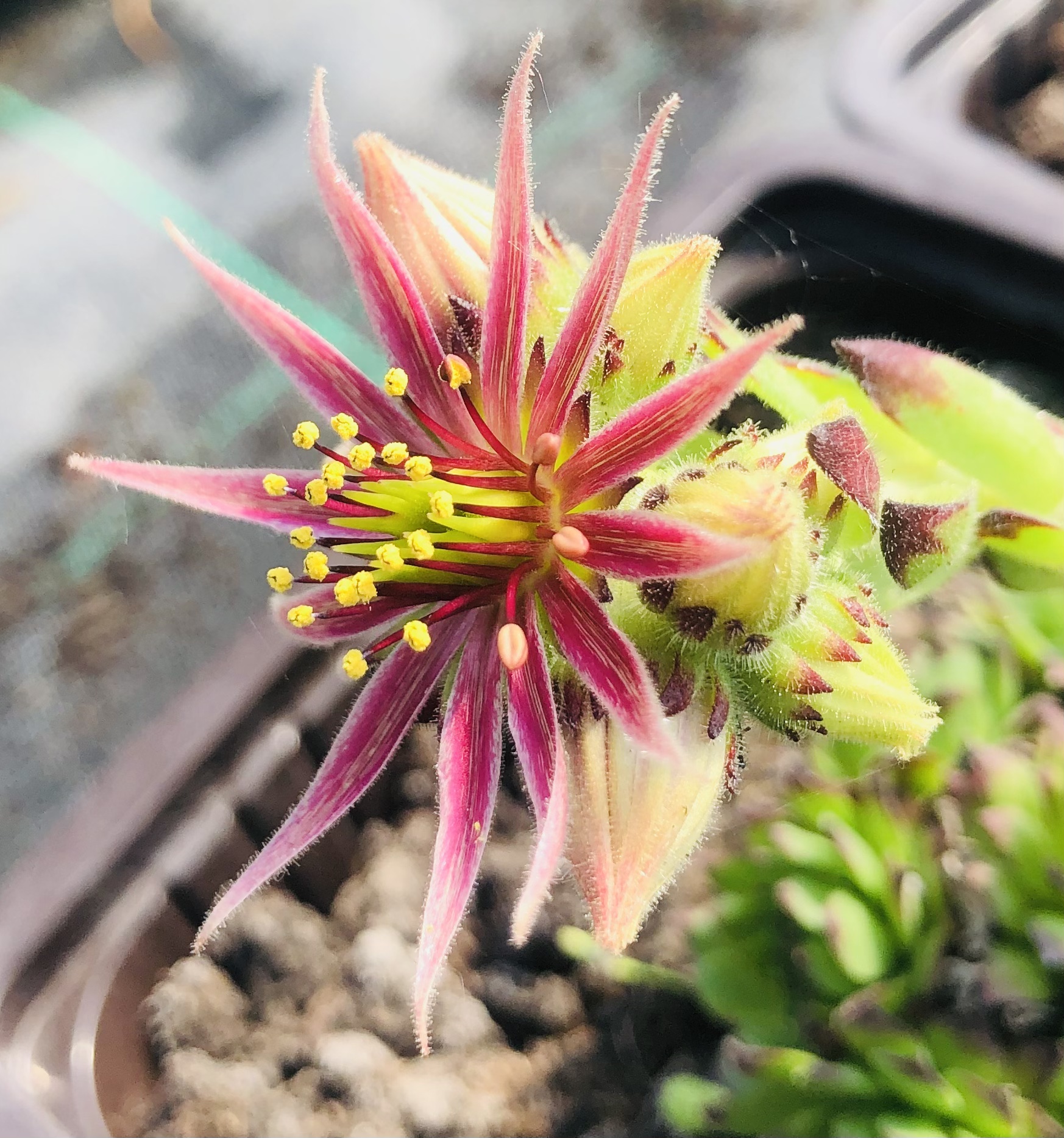 Превью изображения