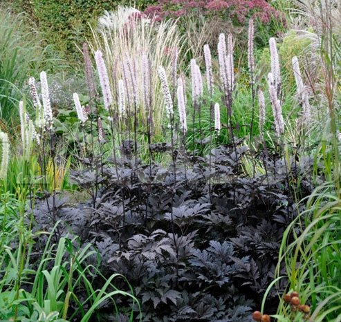 Превью изображения