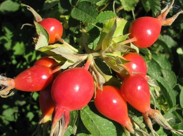 Превью изображения