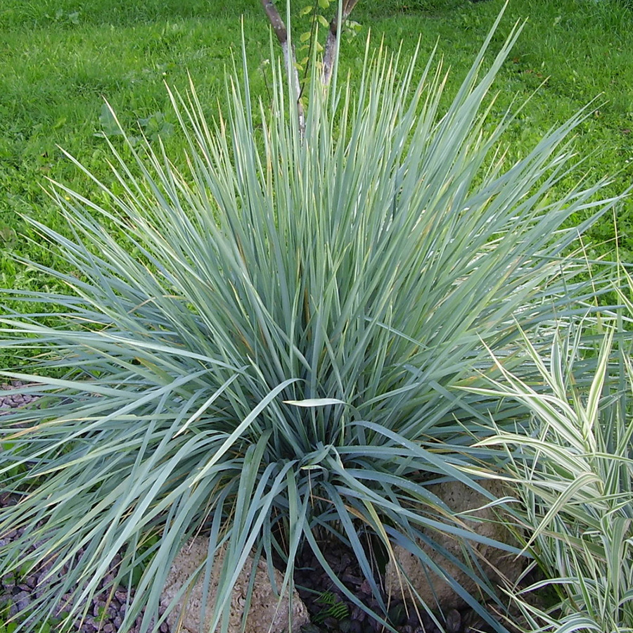 Превью изображения