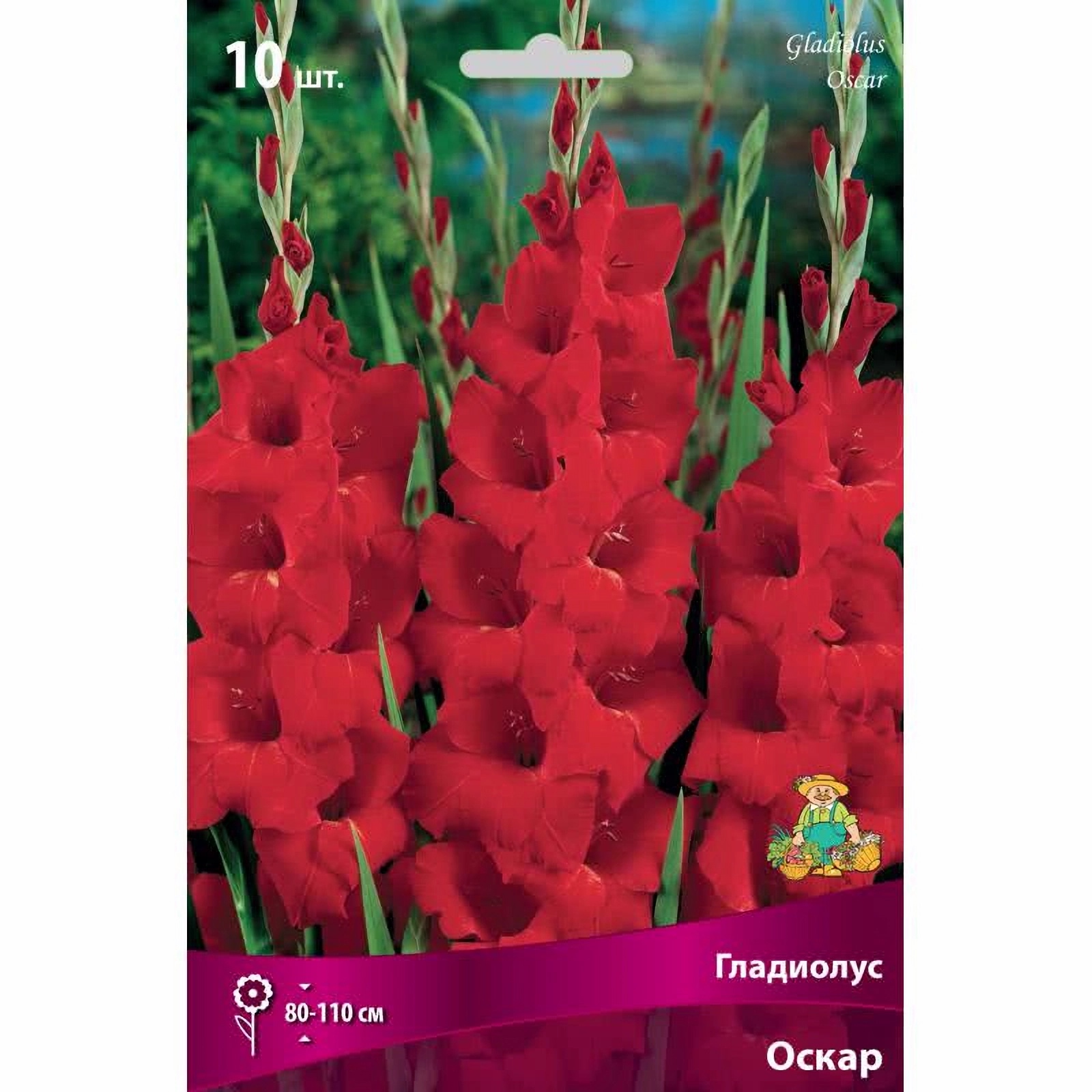 Превью изображения