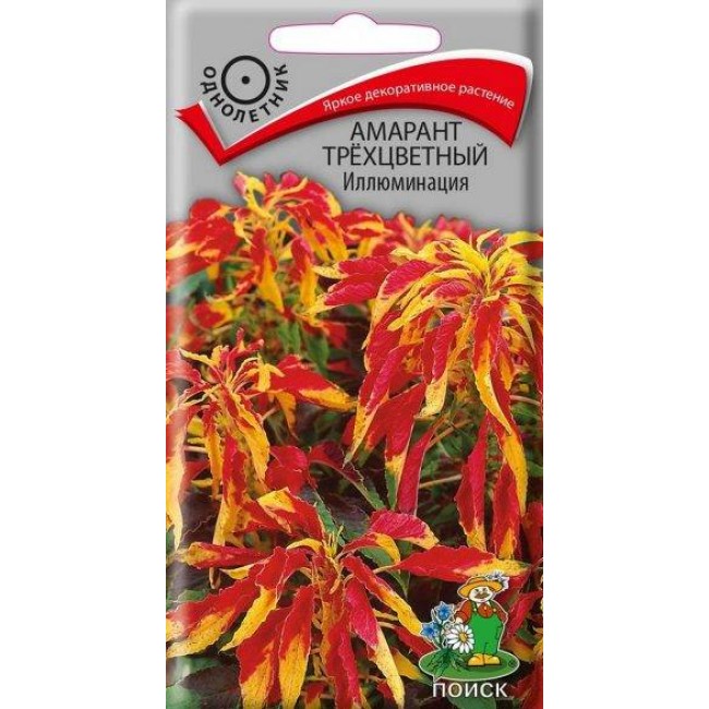 Превью изображения