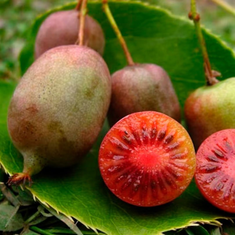 Превью изображения