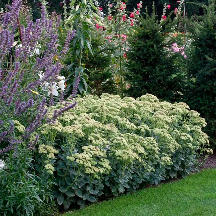 Превью изображения