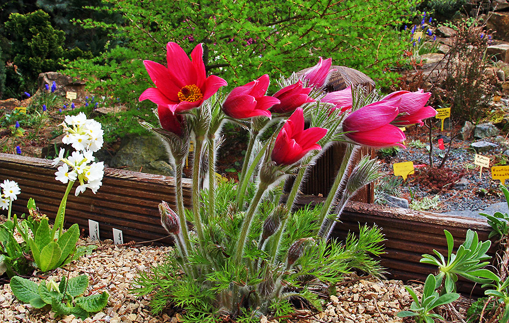 Превью изображения