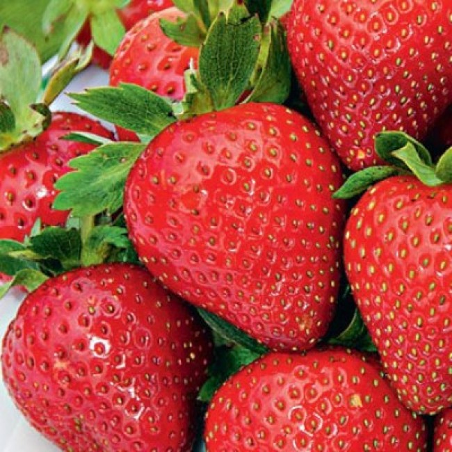 Превью изображения