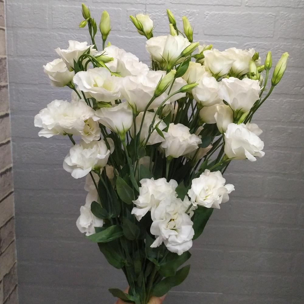 Превью изображения