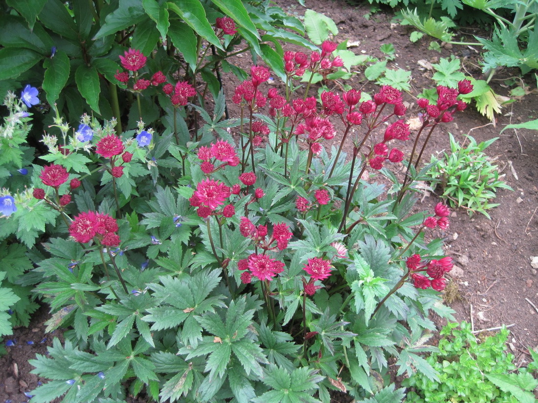 Превью изображения