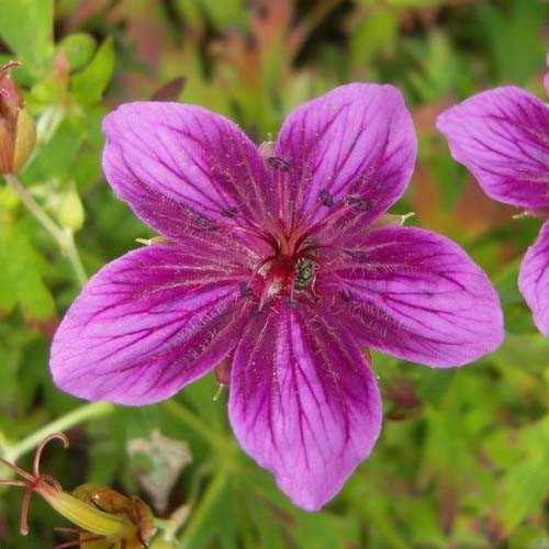 Превью изображения