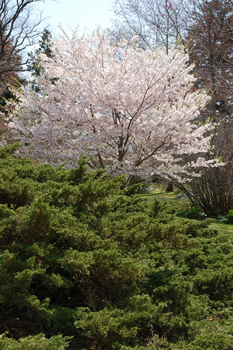 Превью изображения