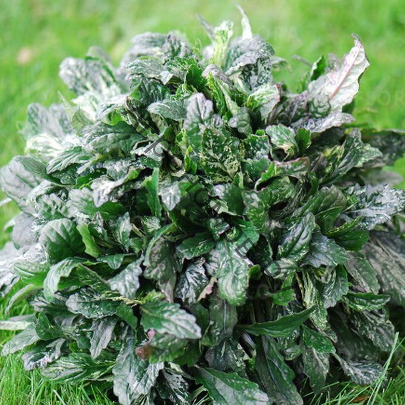 Превью изображения