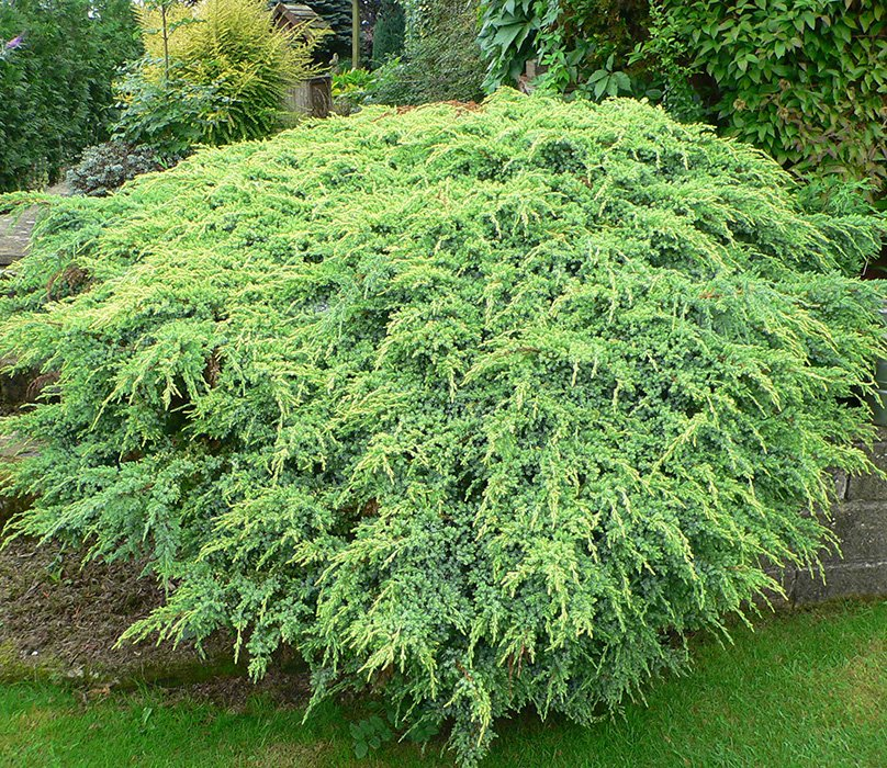 Превью изображения