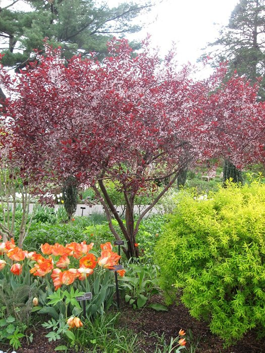 Превью изображения