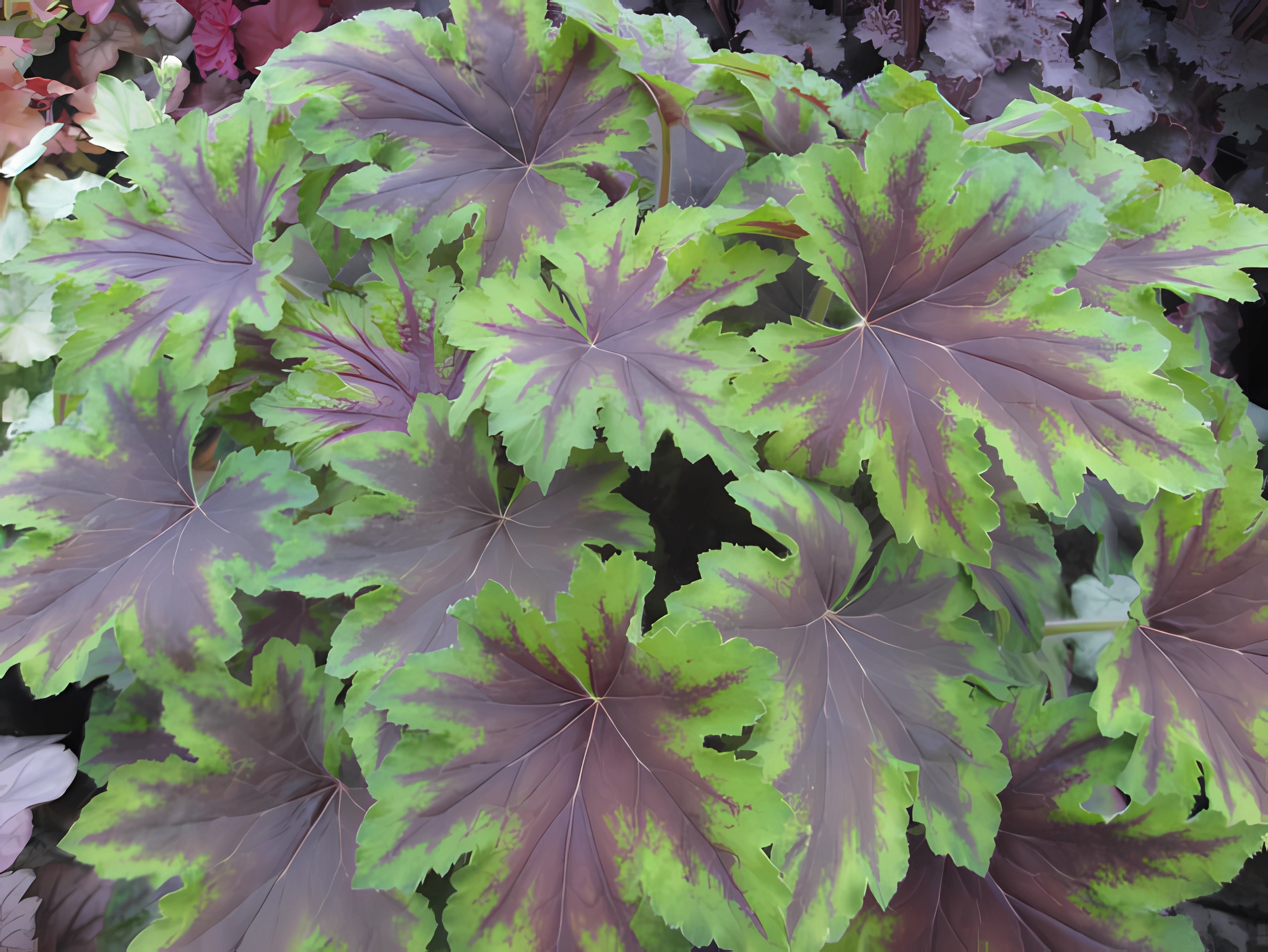 Превью изображения