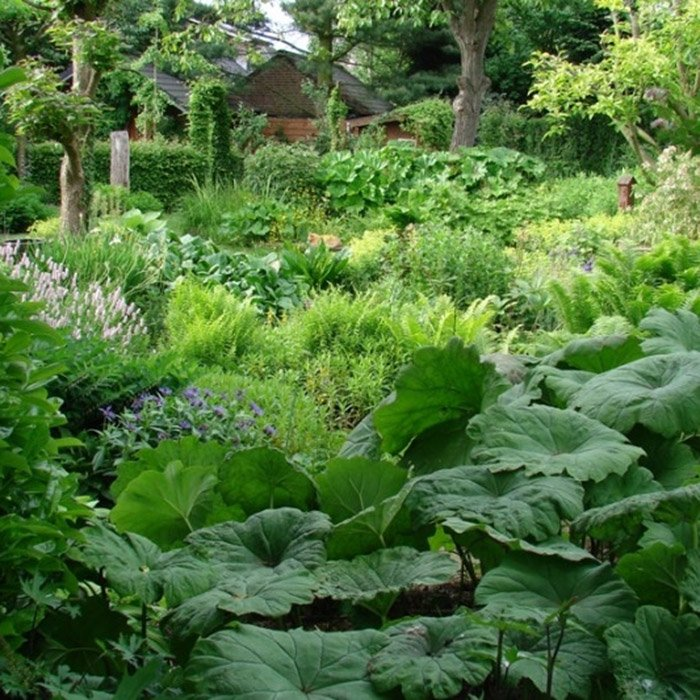 Превью изображения