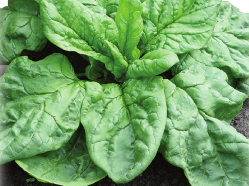 Превью изображения