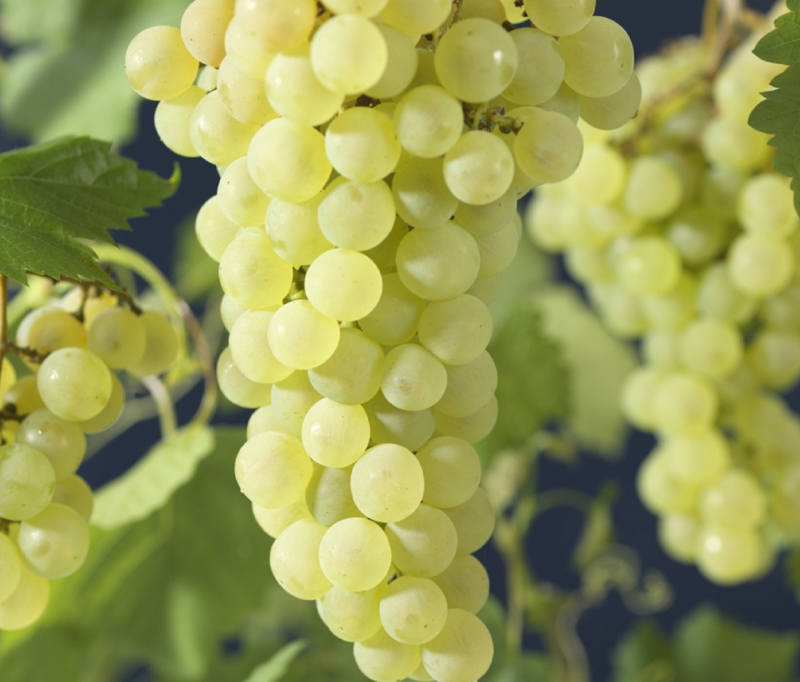 Превью изображения