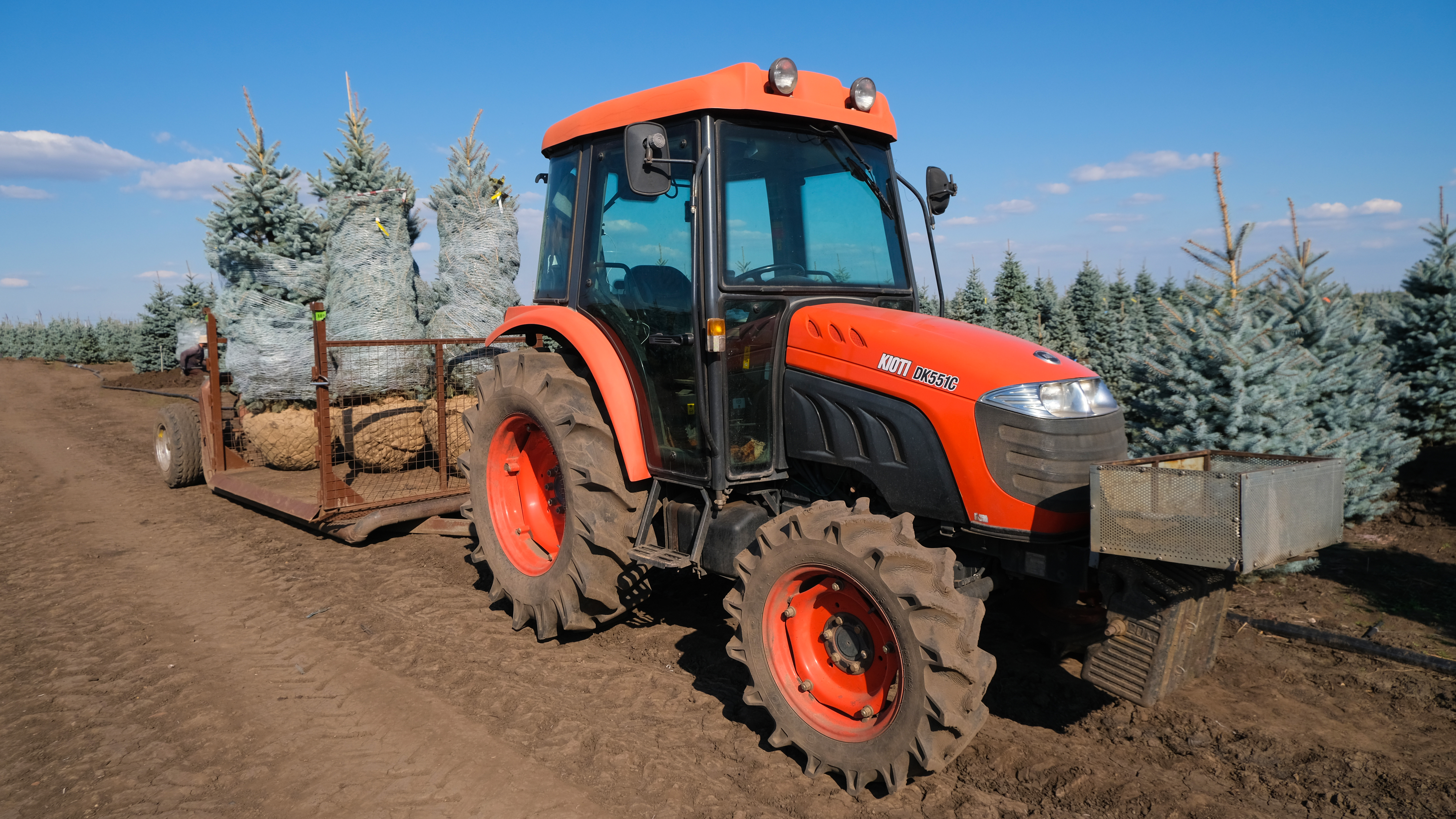 Превью изображения