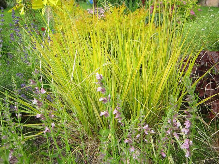 Превью изображения