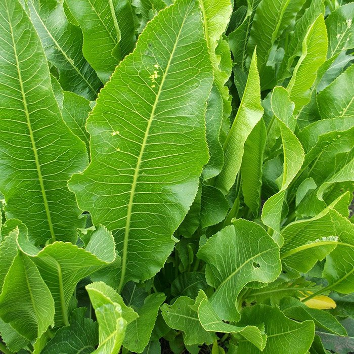 Превью изображения