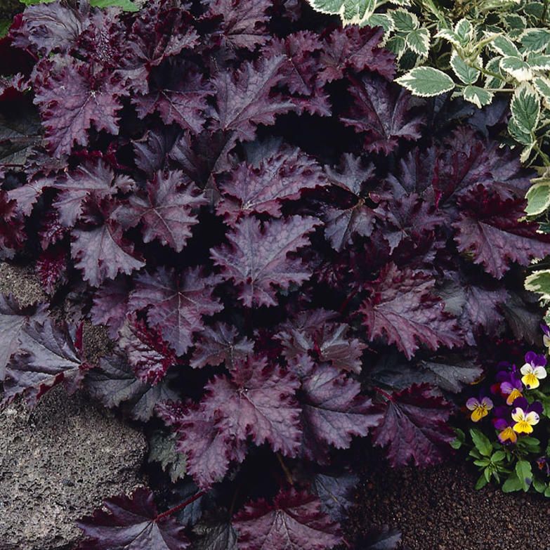 Превью изображения