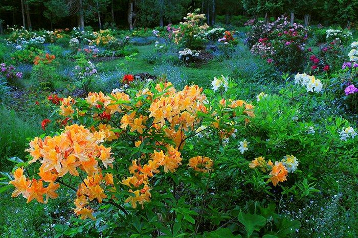 Превью изображения