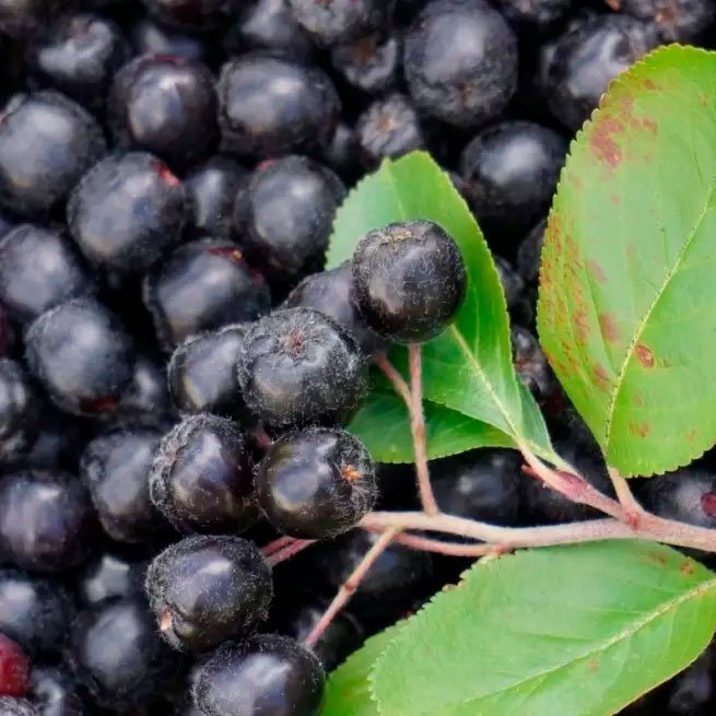 Превью изображения