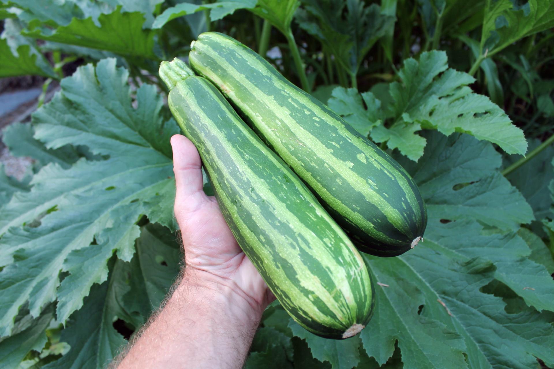 Превью изображения