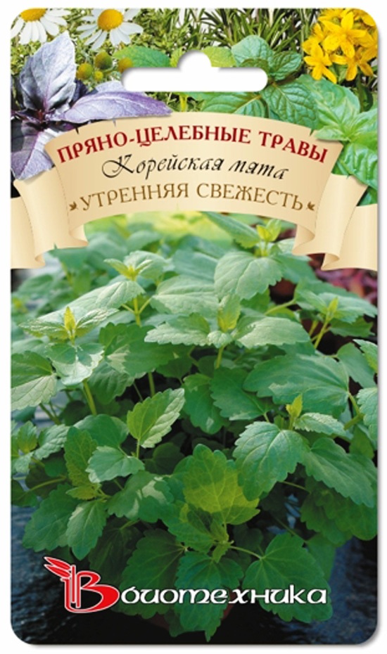 Превью изображения