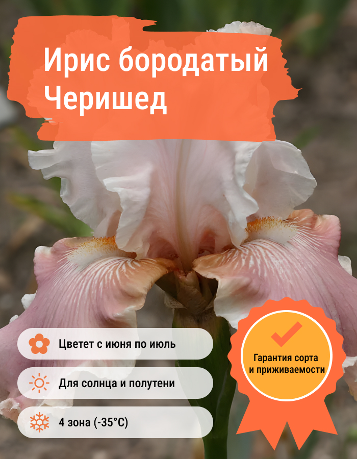 Превью изображения