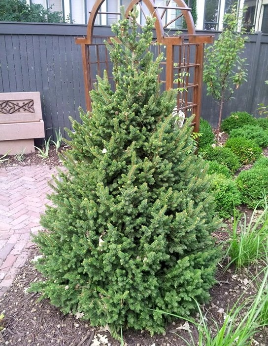 Превью изображения