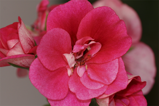 Превью изображения