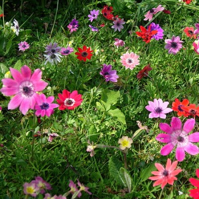 Превью изображения