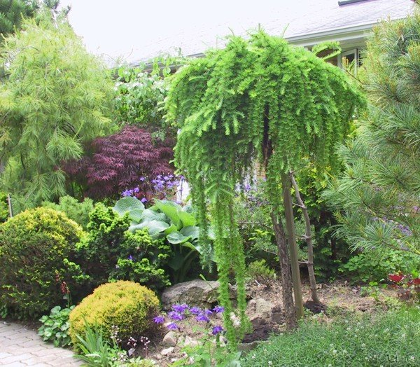 Превью изображения