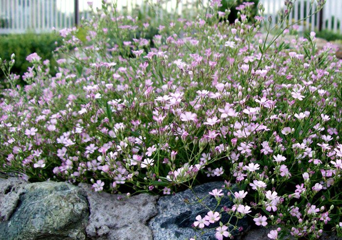 Превью изображения