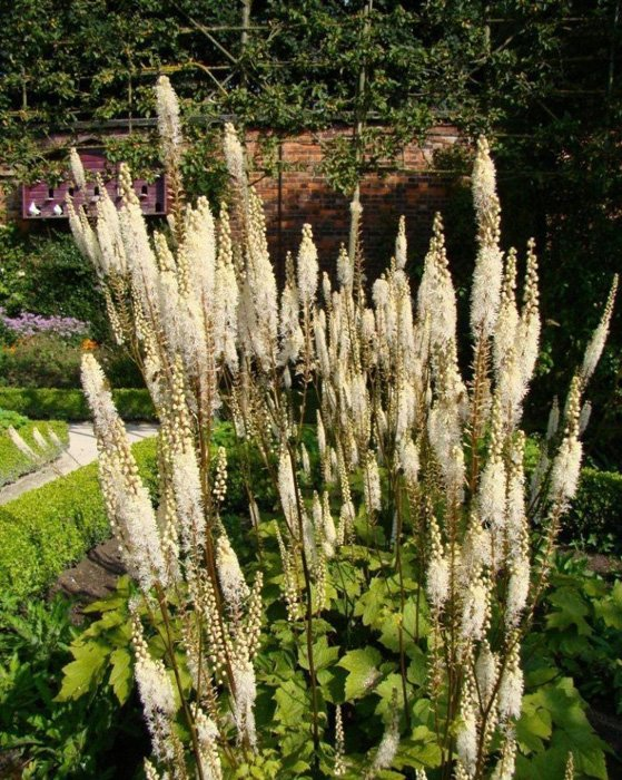 Превью изображения