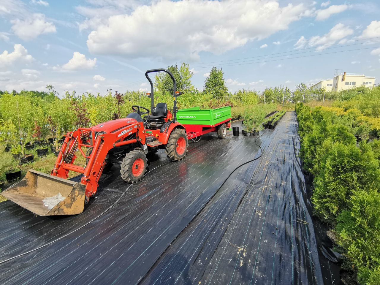 Превью изображения