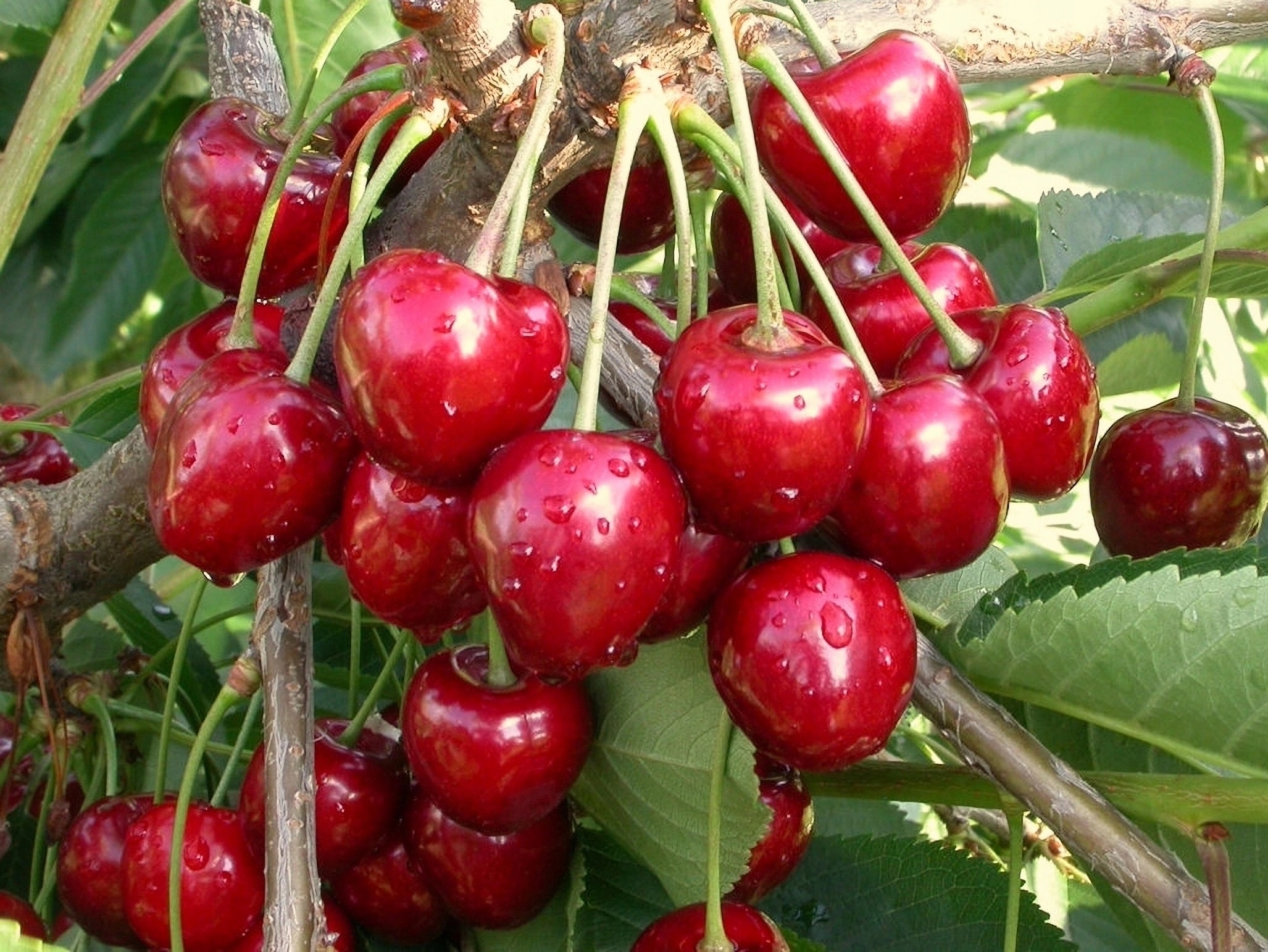 Превью изображения